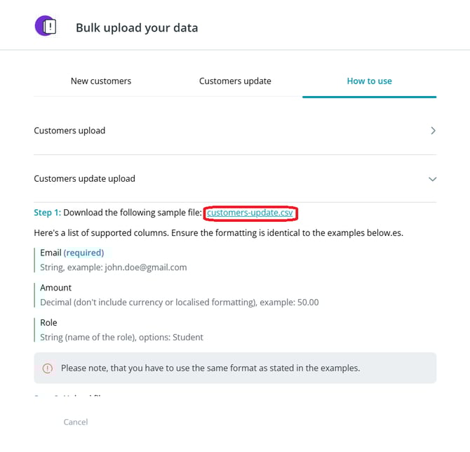 customers_bulk uploads_customers update_how to use_red